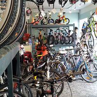Große Auswahl an Fahrrädern